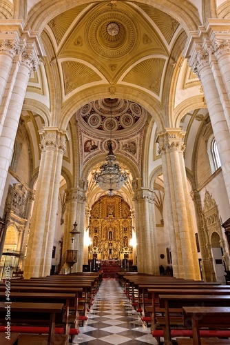 Catedral de Baeza  Baeza  Jaen  Andaluc  a  Espa  a. 