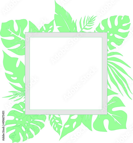menthol frame made of tropical leaves and rectangle for writing text, postcard, cover