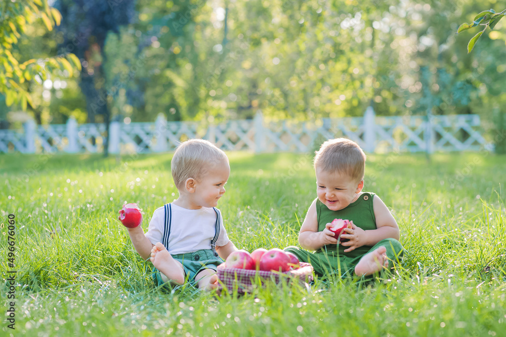 Beautiful Two kids toddlers and autumn harvest of apples. Children boy and basket of ripe red apples in garden close-up and copy space.. Beautiful Two kids toddlers and autumn harvest of apples. Children boy and basket of ripe red apples in garden close-up and copy space..