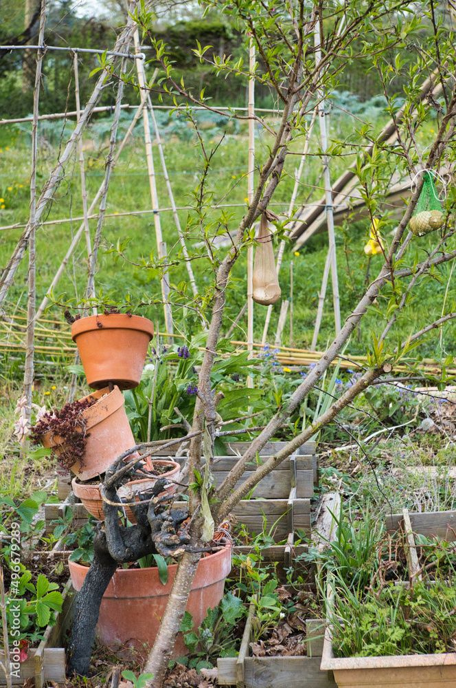 earthen-pots-decoratively-superimposed-with-various-plantings-in-the