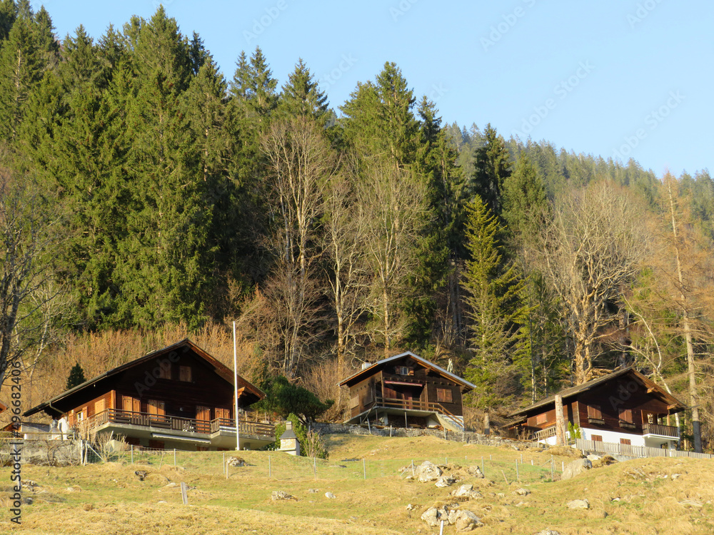 Mountain huts (chalets) or farmhouses and old wooden cattle houses in the alpine valley of Klöntal (or Kloental) and by the resevoir lake Klöntalersee (Kloentalersee) - Canton of Glarus, Switzerland Mountain huts (chalets) or farmhouses and old wooden cattle houses in the alpine valley of Klöntal (or Kloental) and by the resevoir lake Klöntalersee (Kloentalersee) - Canton of Glarus, Switzerland