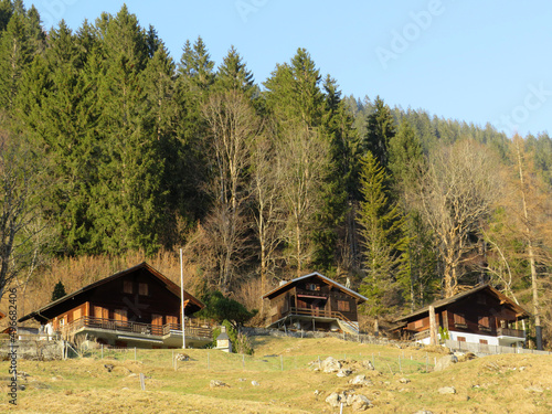 Mountain huts (chalets) or farmhouses and old wooden cattle houses in the alpine valley of Klöntal (or Kloental) and by the resevoir lake Klöntalersee (Kloentalersee) - Canton of Glarus, Switzerland