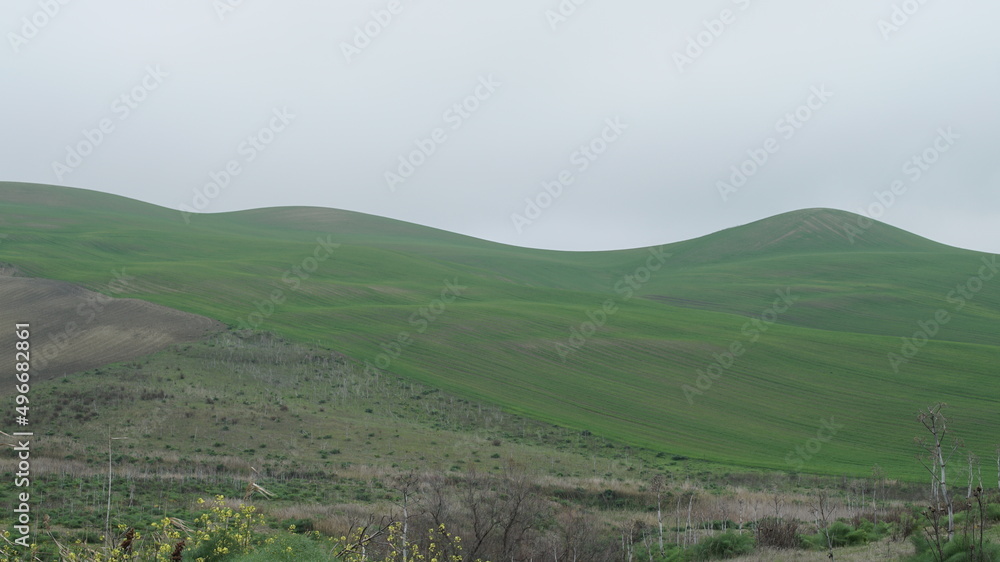 Naklejka premium landscape 