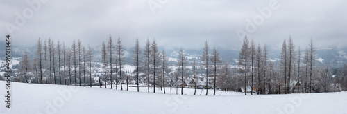 snow-covered fir trees on top of mountains in winter