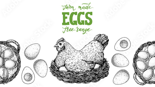 Chicken eggs sketch. Hen sitting in the nest. Hand drawn illustration. Farm eggs design template. Vector illustration. Healthy food. Package design elements.