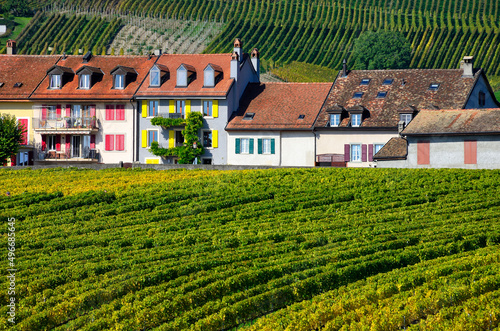 Europe  Switzerland  Canton Vaud  Morges district   near Aubonne  row of terraced houses in vineyards  early autumn