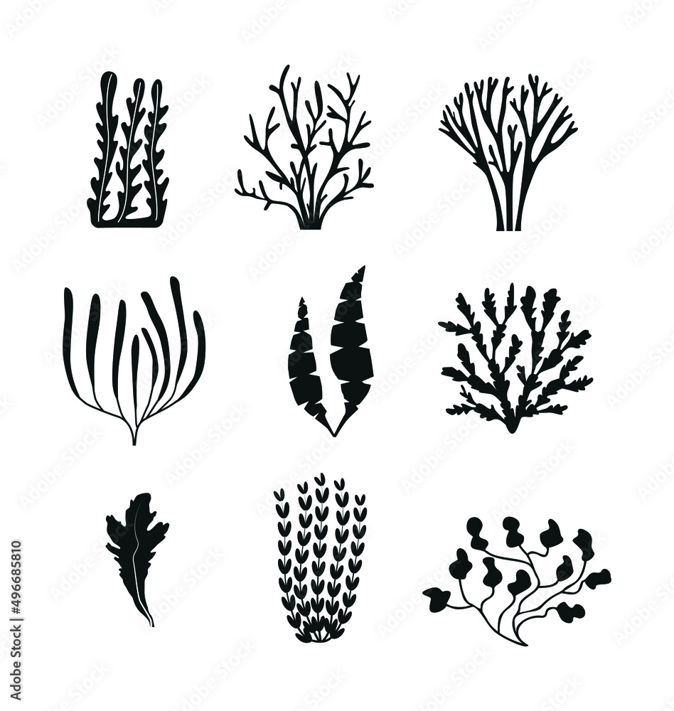A set of marine icons, including various algae, seaweed, corals, twigs, natural elements A set of marine icons, including various algae, seaweed, corals, twigs, natural elements