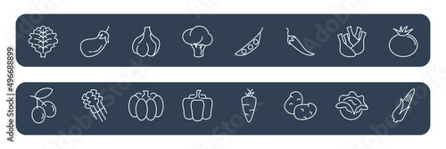 Vegetable icons set . Vegetable pack symbol vector elements for infographic web