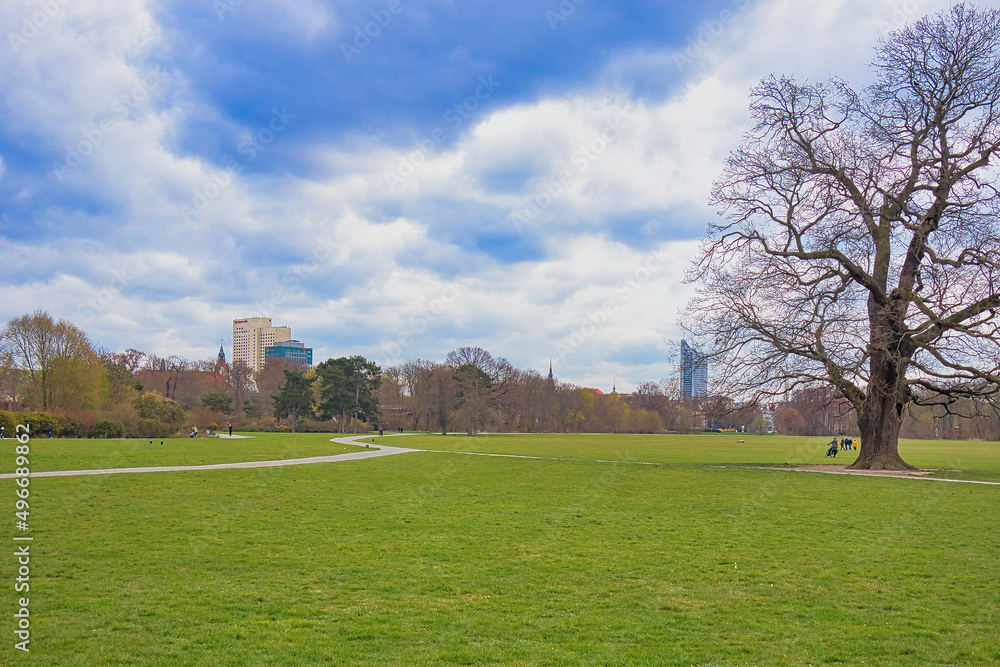 Baum mit Wiese und Blick auf Hochhaus, Park Rosental in Leipzig Sachsen 