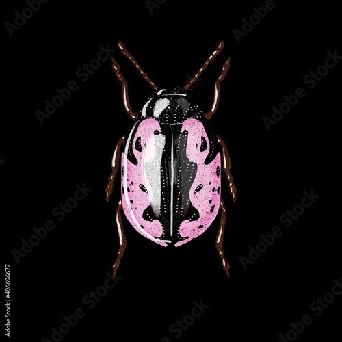 Wallpaper Mural Calligraphy Sccalaris Torontodigital.ca