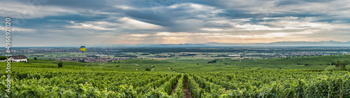 Alsace panorama © Steve