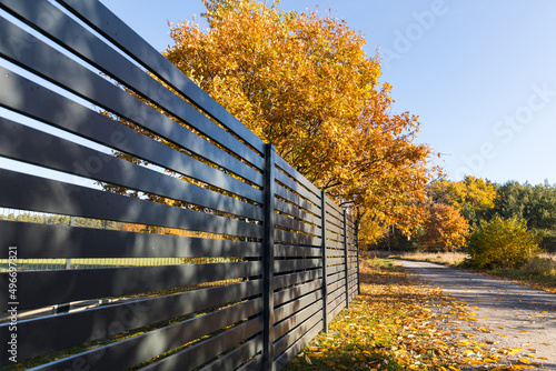 Fence, road to the forest, trees in autumn.