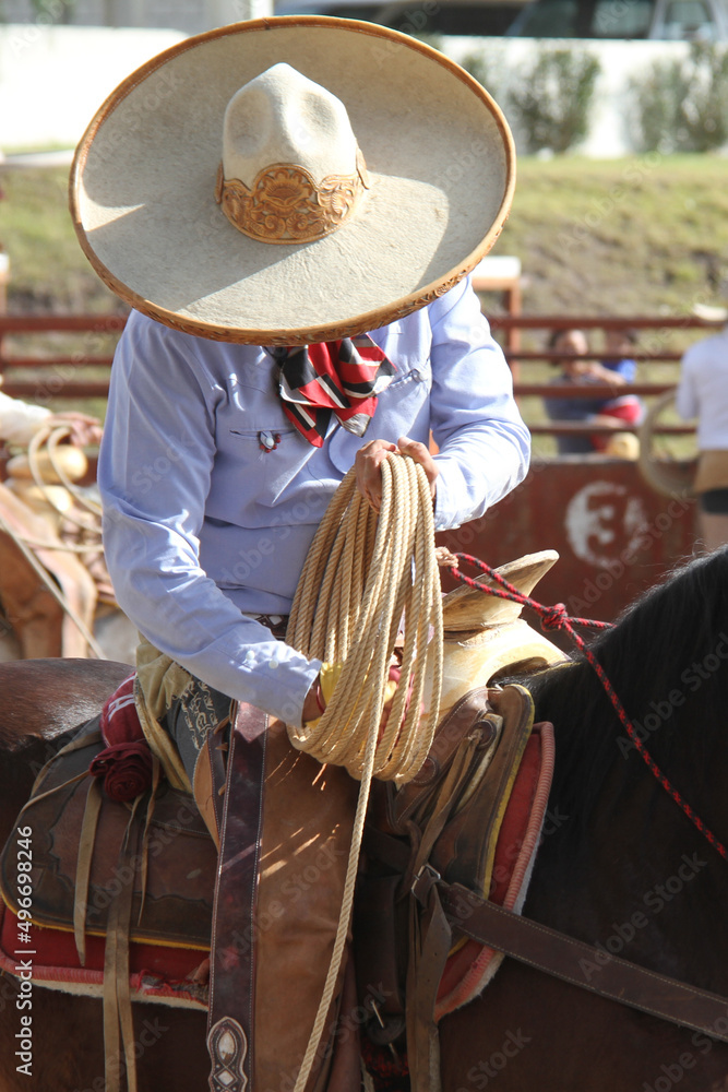cowboy on a horse