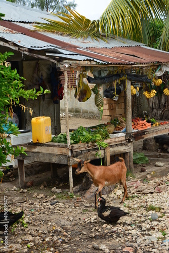 Targ warzywny, Afryka, Zanzibar