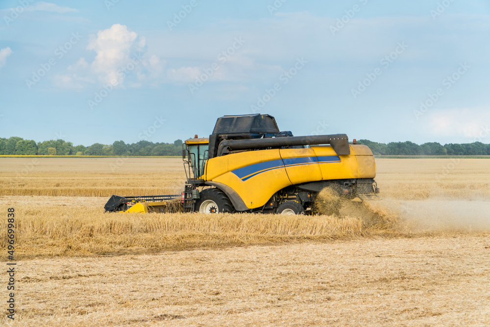 Fototapeta premium Combine harvesting wheat field on a falmland.