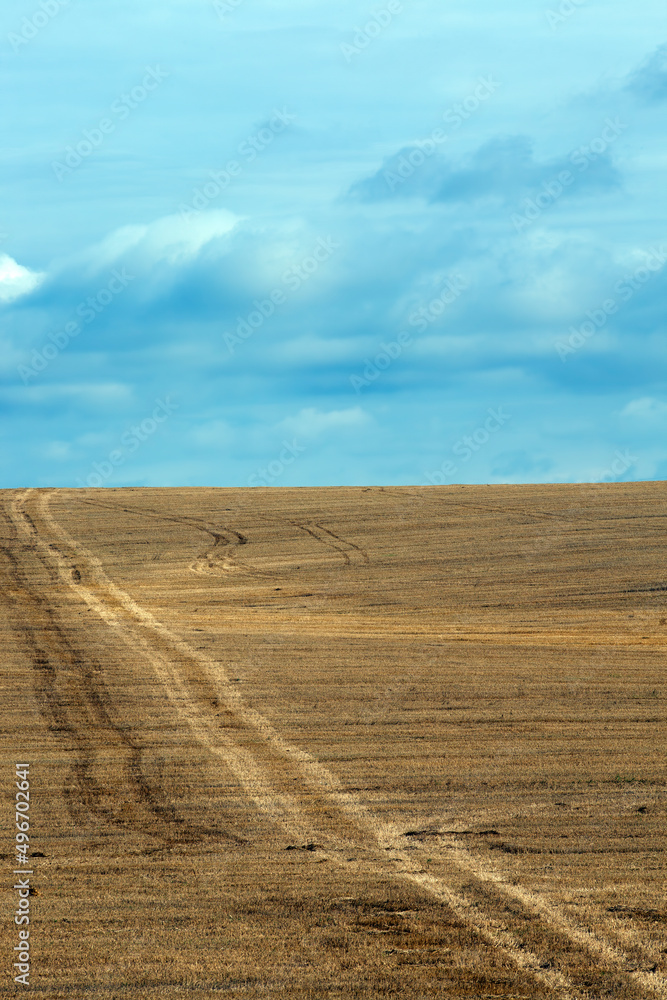 empty, paved road in the countryside in the form of a track from the wheels of cars empty, paved road in the countryside in the form of a track from the wheels of cars