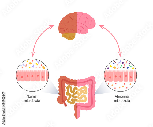 Gut brain connection
