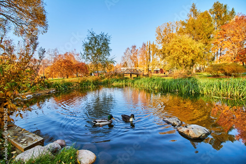 Fototapeta Naklejka Na Ścianę i Meble -  Pond in Arboretum park