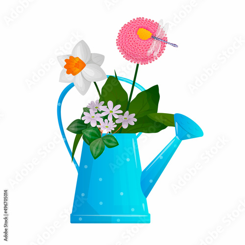 Vector isolated illustration decorative garden watering can, in which Hepatica, narcissus, Bellis perennis flowers grow. There is dragonfly on blossom. Concept gardening, spring time, garden design.