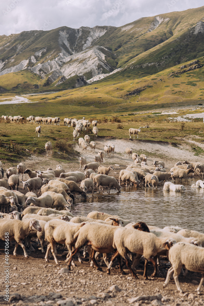 Obraz premium Abruzzo, Campo imperatore