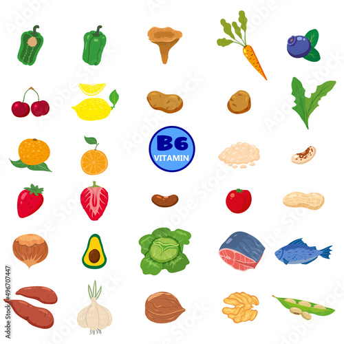 Set of Vitamin B6 origin natural sources. Healthy diary food meat, vegetable, egg, nuts, fish, beetroot. Organic diet products, natural nutrition collection. Vector flat cartoon illustration isolated