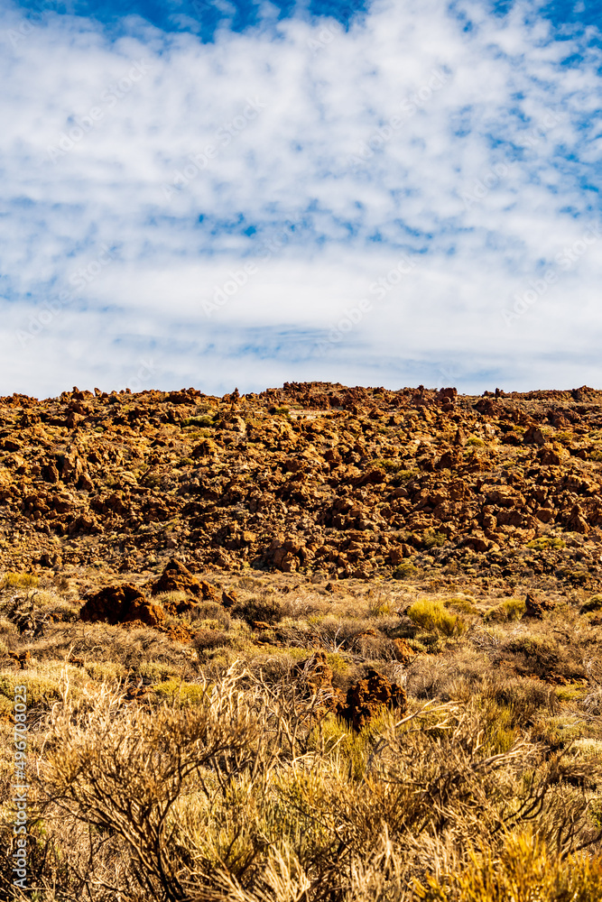 Obraz premium Paisaje en el Parque Nacional del Teide, isla de Tenerife.