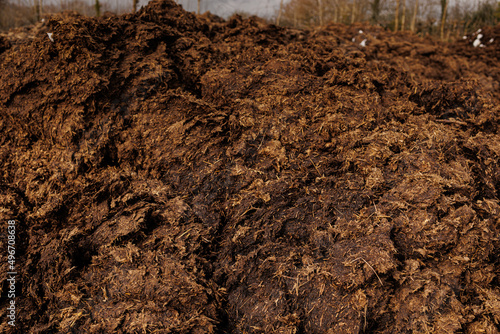 Brown cow manure - natural fertilizer photo