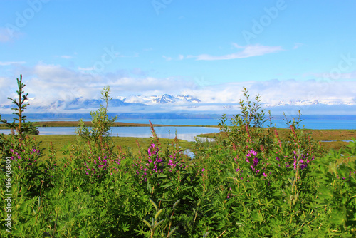 Island - Landschaft Skjalfandibucht mit Flateyjarskagi / Iceland - Landscape Skjalfandi Bay with Flateyjarskagi / photo