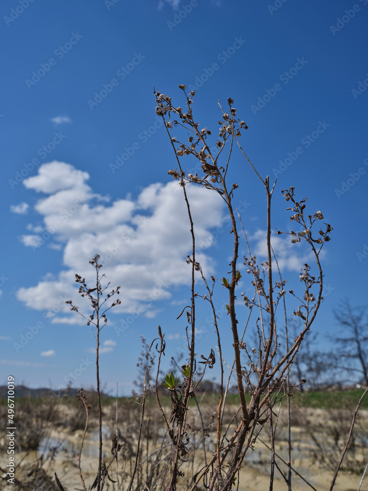 global warming and drought in nature global warming and drought in nature