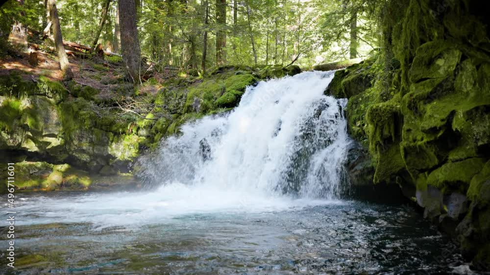 The beautiful White Horse Falls on the Clearwater River in Oregon, USA. The beautiful White Horse Falls on the Clearwater River in Oregon, USA.
