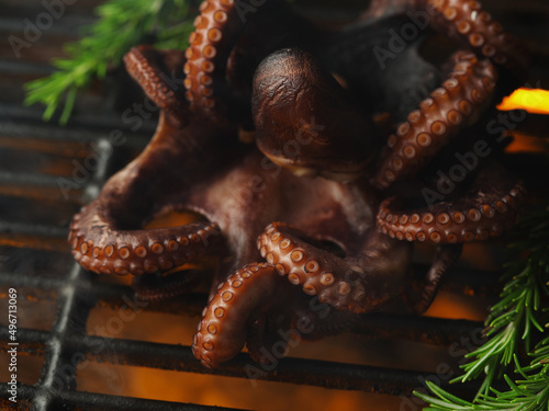 Close-up. Sea food. Grilled octopus with rosemary sprigs. Asian cuisine. Organic gourmet food. Seafood recipes. Restaurant, hotel, picnic, banquet. Rest, day off, meeting with friends.