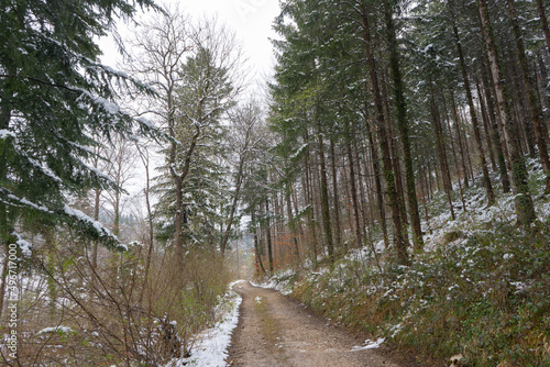 Welcome to high alpine snow capital, Winter in the Saas Valley,
Activities for young and old, snow sports enthusiasts, adventurers, pleasure-seekers and all those who appreciate and love nature! Alps photo