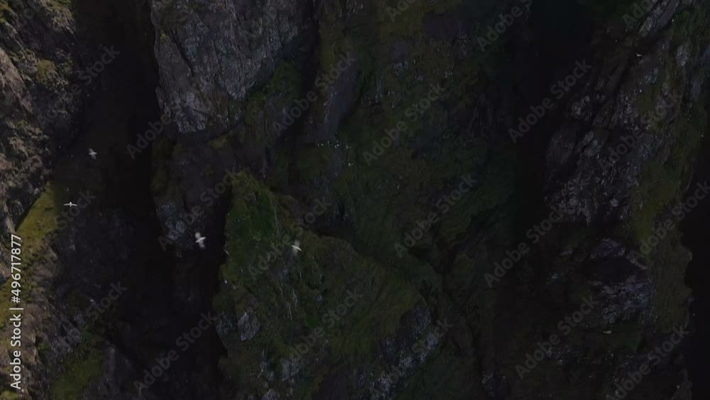Drone Tilting Down Of High Sea Cliff, Beinisvord Drone Tilting Down Of High Sea Cliff, Beinisvord