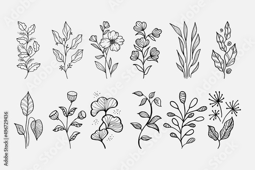 Hand drawn vector design floral elements