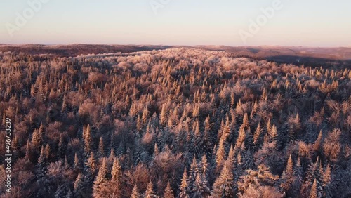 Winter Forest Landscape in North America Aerial