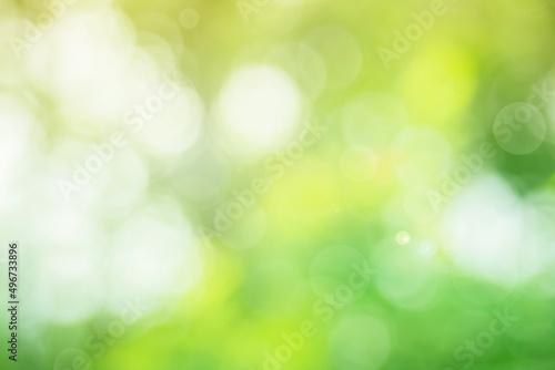 Fototapeta Naklejka Na Ścianę i Meble -  Abstract blurred green color for background, Blur leaves at the health garden outdoor and white bubble focus texture.