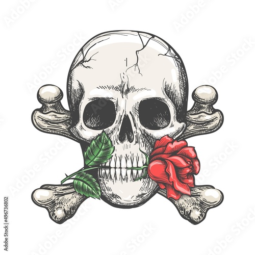 Skull crossbones rose