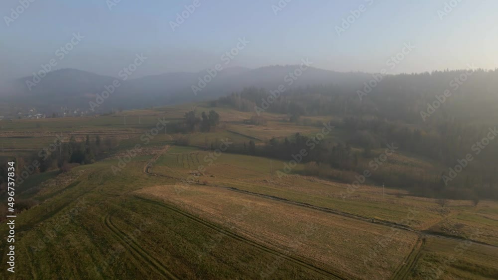 Forward aerial over grass field and mountain valley and orange larch forest woods in sunny autumn. Outdoor mountains wild fall nature at sunset or sunrise establisher.4k drone flight establishing shot Forward aerial over grass field and mountain valley and orange larch forest woods in sunny autumn. Outdoor mountains wild fall nature at sunset or sunrise establisher.4k drone flight establishing shot