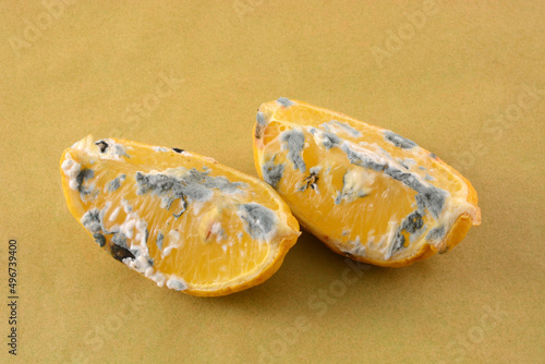 Φωτογραφία Two moldy lemon wedges on brown parchment paper