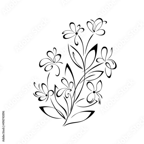 Fototapeta Naklejka Na Ścianę i Meble -  ornament 2260. stylized twig with blooming flowers and leaves. graphic decor