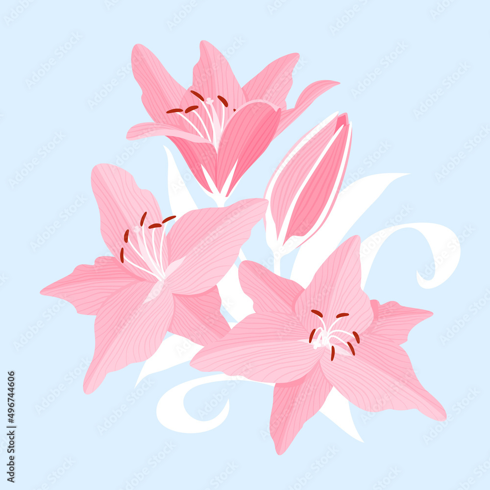Flower background with pink beautiful lilies. Lilly vector illustration Flower background with pink beautiful lilies. Lilly vector illustration