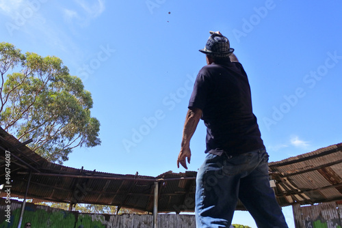 Wallpaper Mural Two-up a traditional Australian gambling game throwing two coins into the air Torontodigital.ca