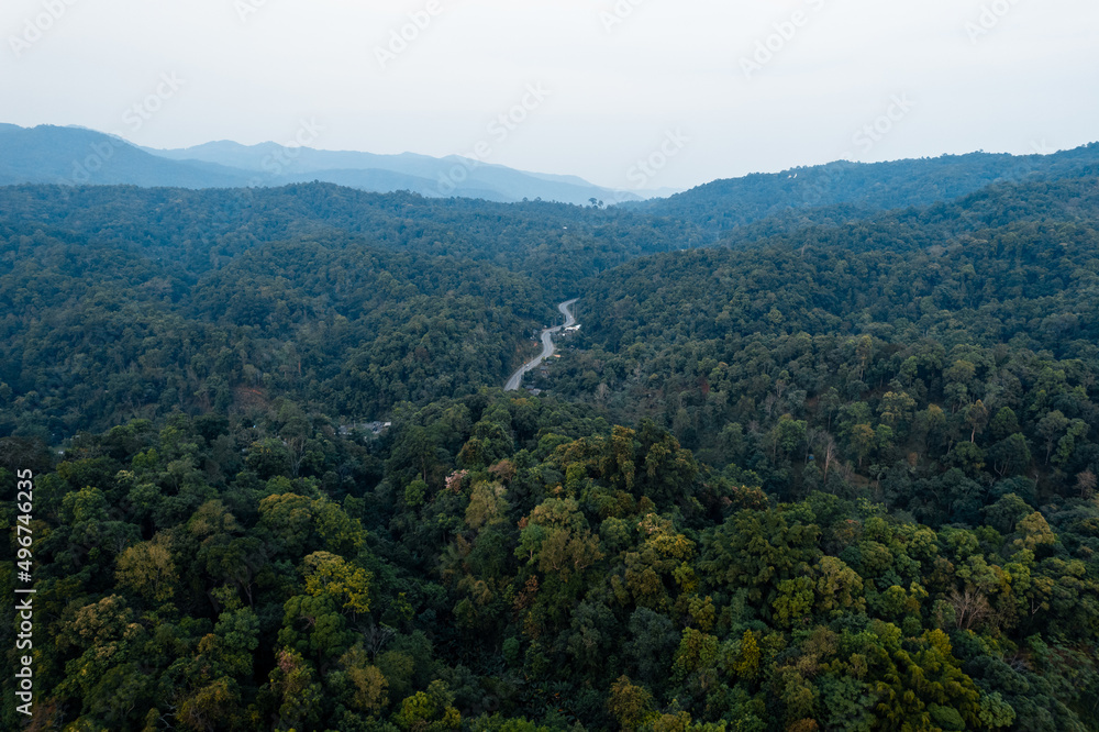 landscape, summer scenery on the mountain in the evening