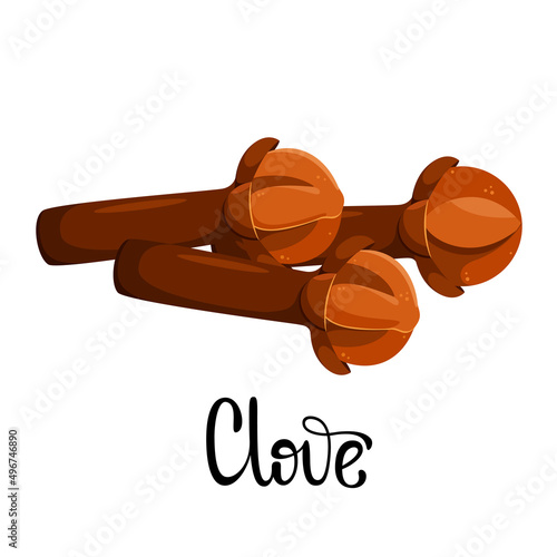 Spice cloves on a white background. Cartoon design.
