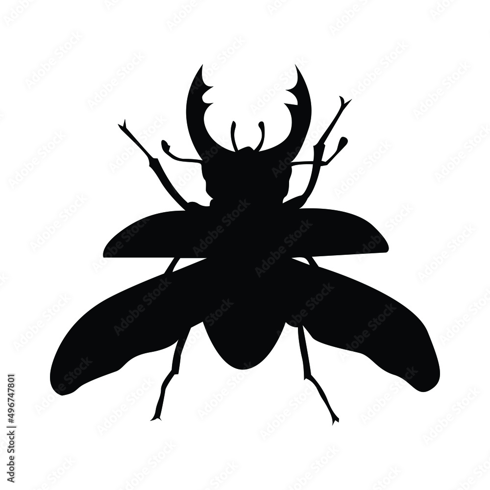 Beetle or bug silhouette vector isolated on white. Insect icon. Beetle or bug silhouette vector isolated on white. Insect icon.