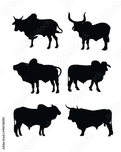 Indian cattle silhouette collection. Bull or ox icon, livestock.