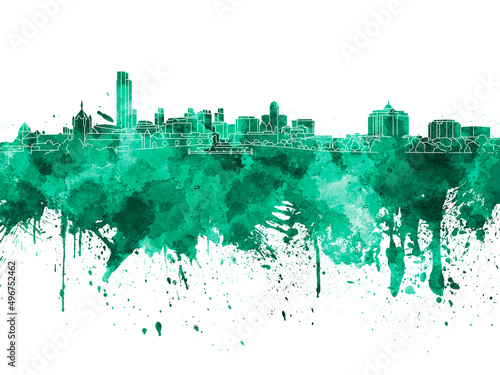 Albany skyline in green watercolor on white background