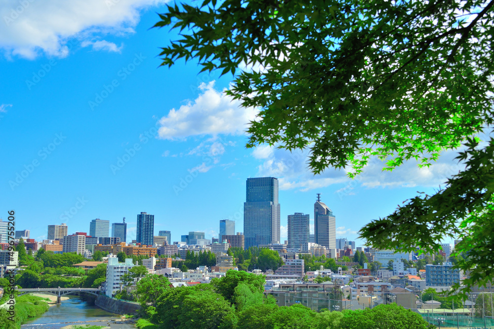 Fototapeta premium 仙台市・自然3