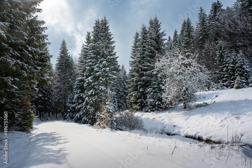 Waldviertler Winterlandschaft im Sonnenschein