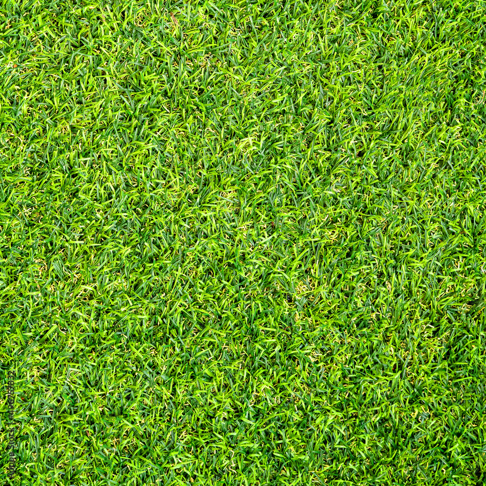 Fototapeta premium Green grass texture for background. Green lawn pattern and texture background.